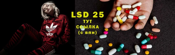 стафф Белокуриха