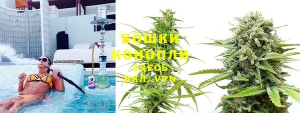 стафф Белокуриха