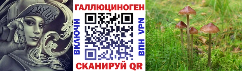 Псилоцибиновые грибы мухоморы  Томари 